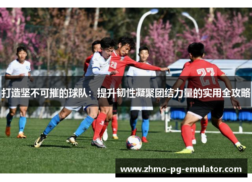 打造坚不可摧的球队：提升韧性凝聚团结力量的实用全攻略