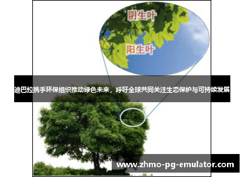 迪巴拉携手环保组织推动绿色未来，呼吁全球共同关注生态保护与可持续发展