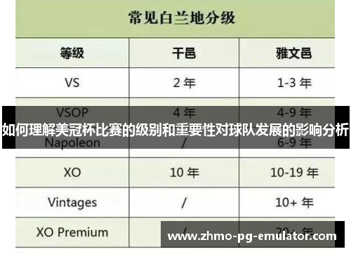 如何理解美冠杯比赛的级别和重要性对球队发展的影响分析