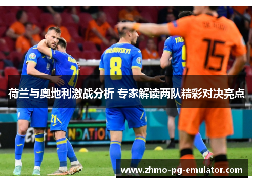 荷兰与奥地利激战分析 专家解读两队精彩对决亮点