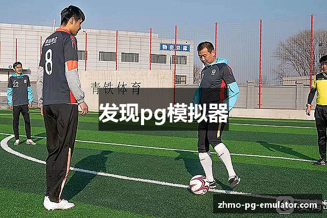 发现pg模拟器
